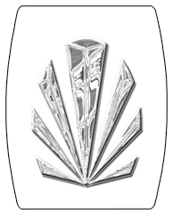 DAREC 602 SL WT Silver Sunburst White Background copy